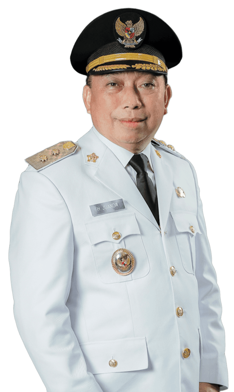 WAKIL BUPATI TAPIN - H. JUANDA